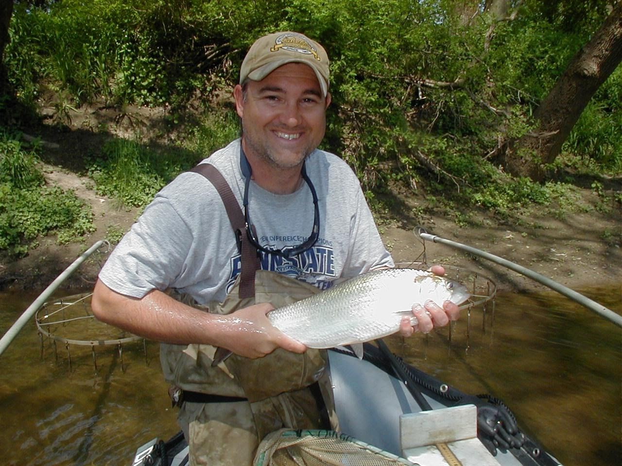 Matt Fisher, a fisheries biologist, catches a hickory shad in White Clay Creek. 2015 marked the first year that shad swam up White Clay Creek since 1777. Photo Credit: Jerry Kaufman.