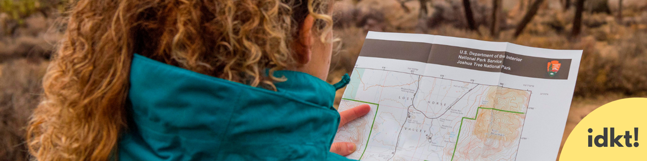 a person with their back to the camera examines a map in Joshua Tree National Park