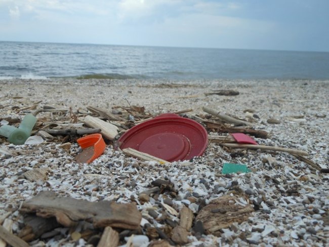 Plastic debris on a Great Lakes beach