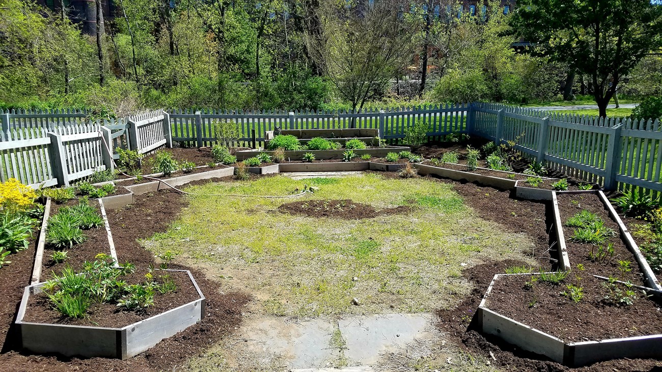 Horseshoe-shaped native plants garden made of wooden plant beds with small green plants growing