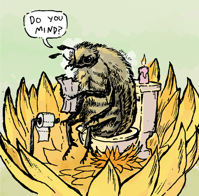 An illustrated beetle sits on the toilet.