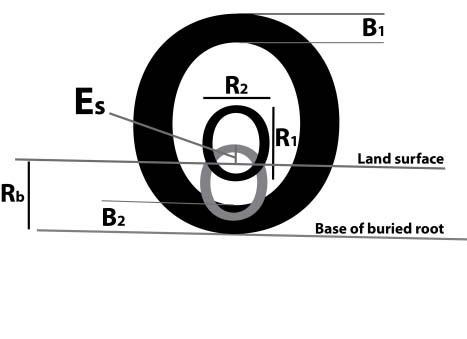Figure 10. Schematic diagram of a root cross section with the measurements used to calculate the amount of total soil lost. Explained in the text below.