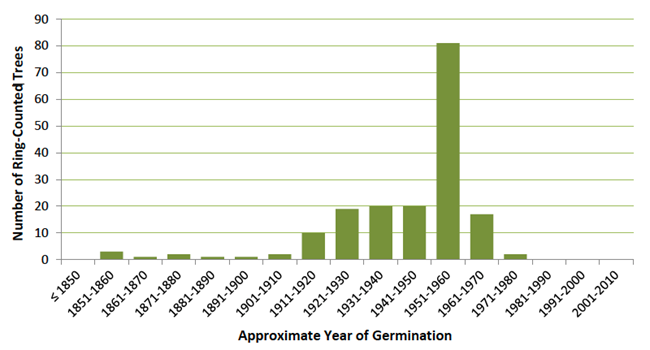A bar chart in green, x axis from 1850 to 2010, and y axis for Number of Ring-Counted Trees. Numbers remain low 1851-1910, 20 from 1921-1950, 80 from 1951-1960, 10 for 1961-1970, a few in the 70s, and none to 2010.