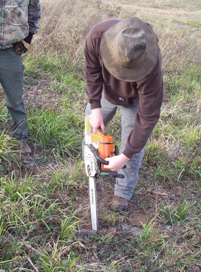 Figure 9. Jessie Edmondson, wearing long sleeves, trousers, gloves, and a hat, cuts into turf using a chainsaw to remove a cross section of an exposed root on Mound A.