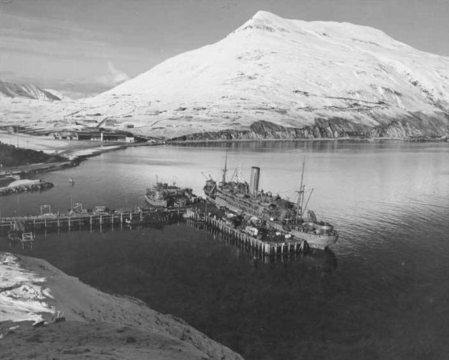 large ship docked at T-shaped dock with large snow-covered mountain in distance.