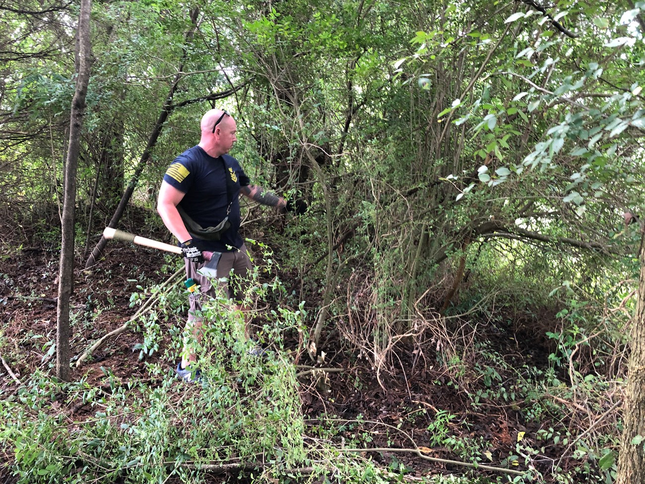 A man in U.S. Navy uniform stands next to a Chinese privet bush holding an axe. He is about to chop the bush down.