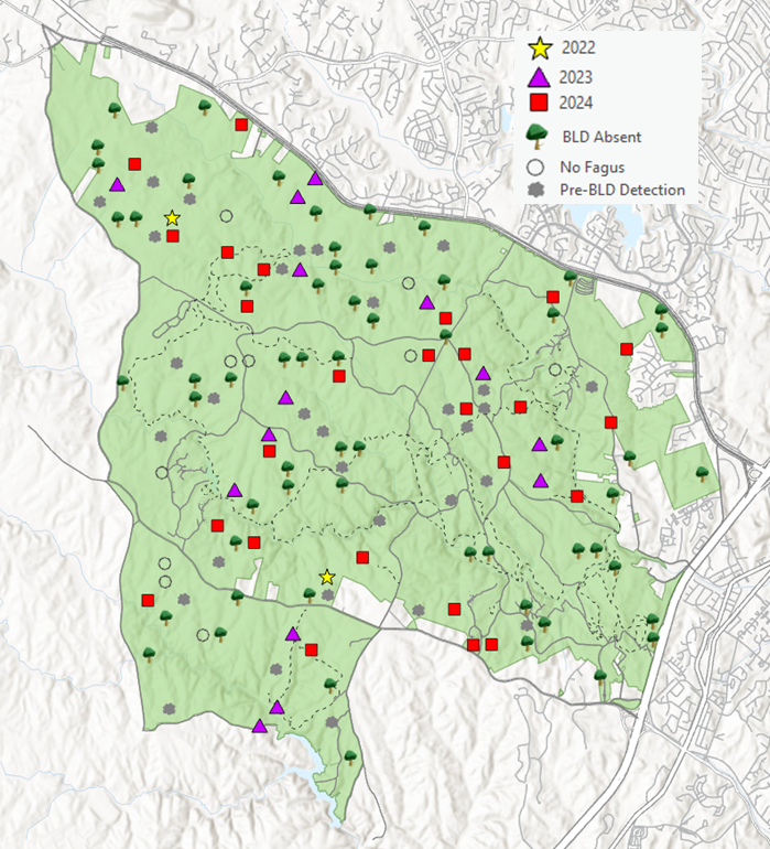 Map of forest monitoring plots at Prince William Forest Park with symbols indicating presence and absence of beech trees and beech leaf disease..
