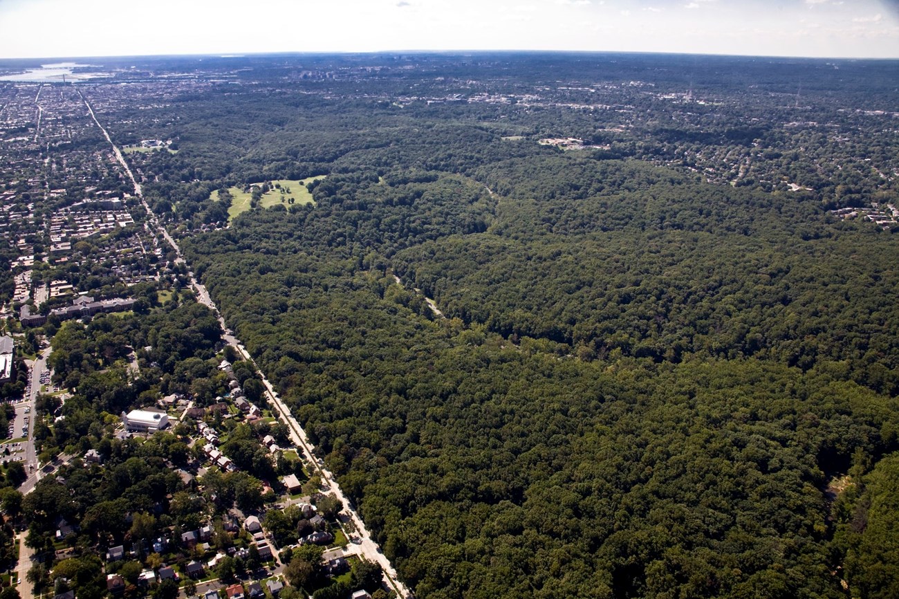 An aerial landscape photo with dense forests, suburban land, and a golf course.