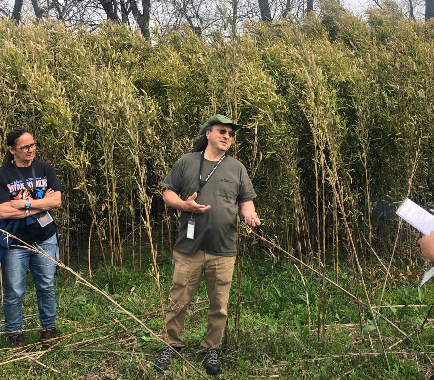 One person stands on the left and another stands in the center against a dense thicket of bamboo.