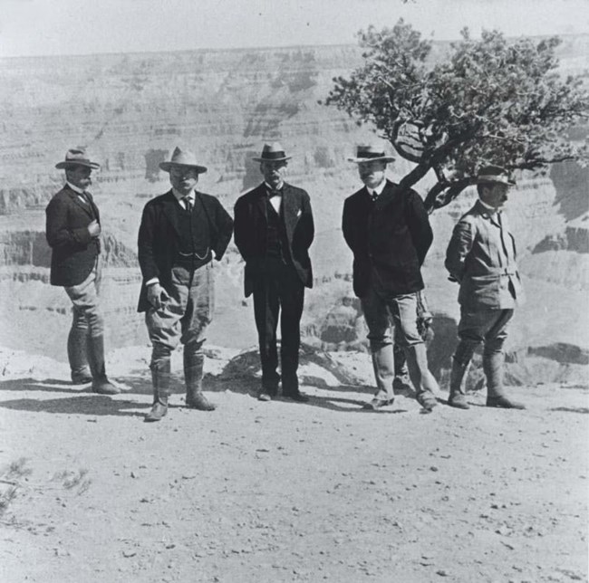 Five men, including Theodore Roosevelt, stand in a line in front of a tree and the Grand Canyon