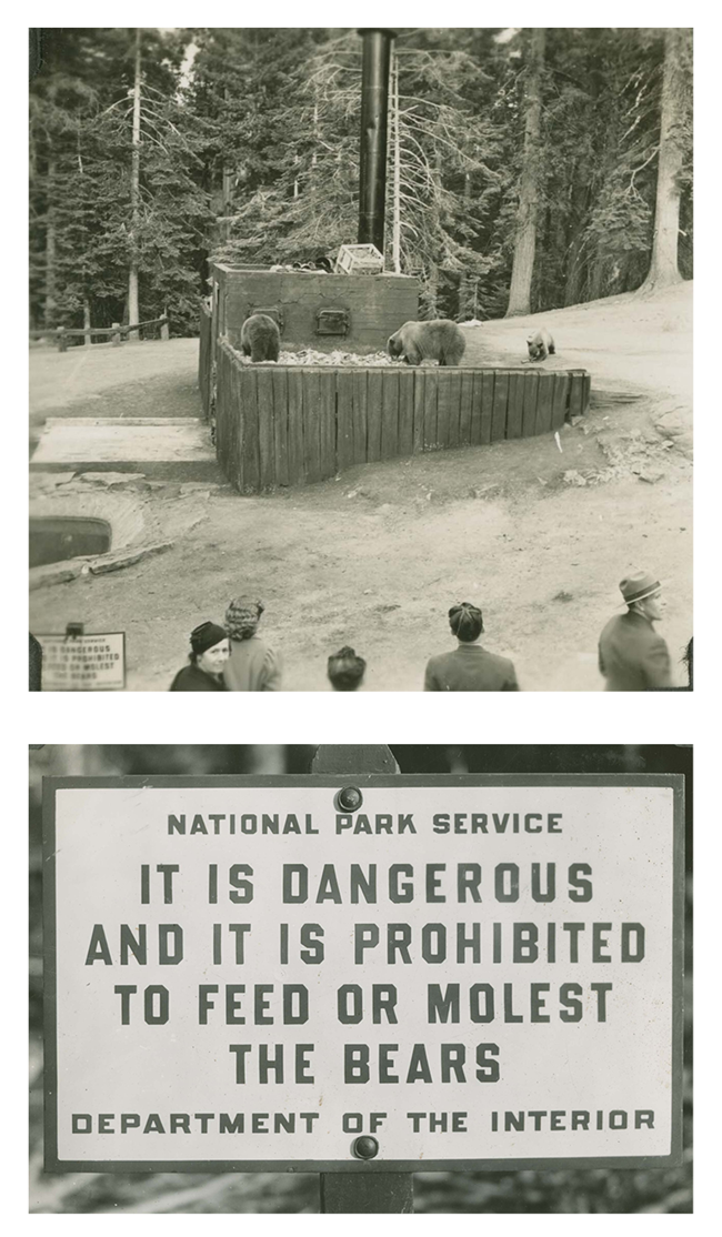 Top: People watching bears feed on garbage. Bottom: sign not to feed bears