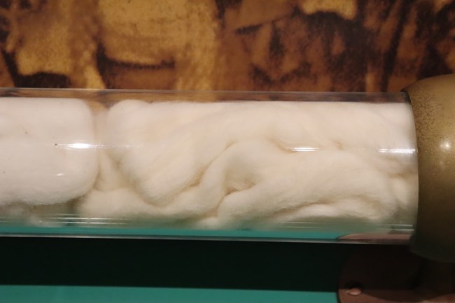 A clear tube of thick fluffy cotton wrapped around itself