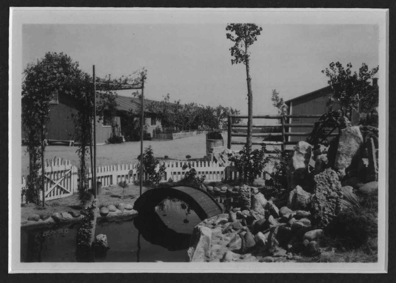 black and white image of a garden with a small bridge and pond