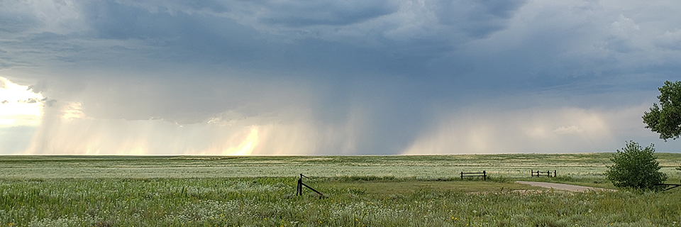 Rain falling under dark clouds beyond the horizon of the open plains.