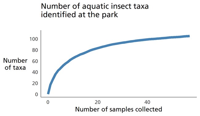 Blue line graph showing that relatively few new taxa are being identified with the collection of additional benthic macroinvertebrate samples.