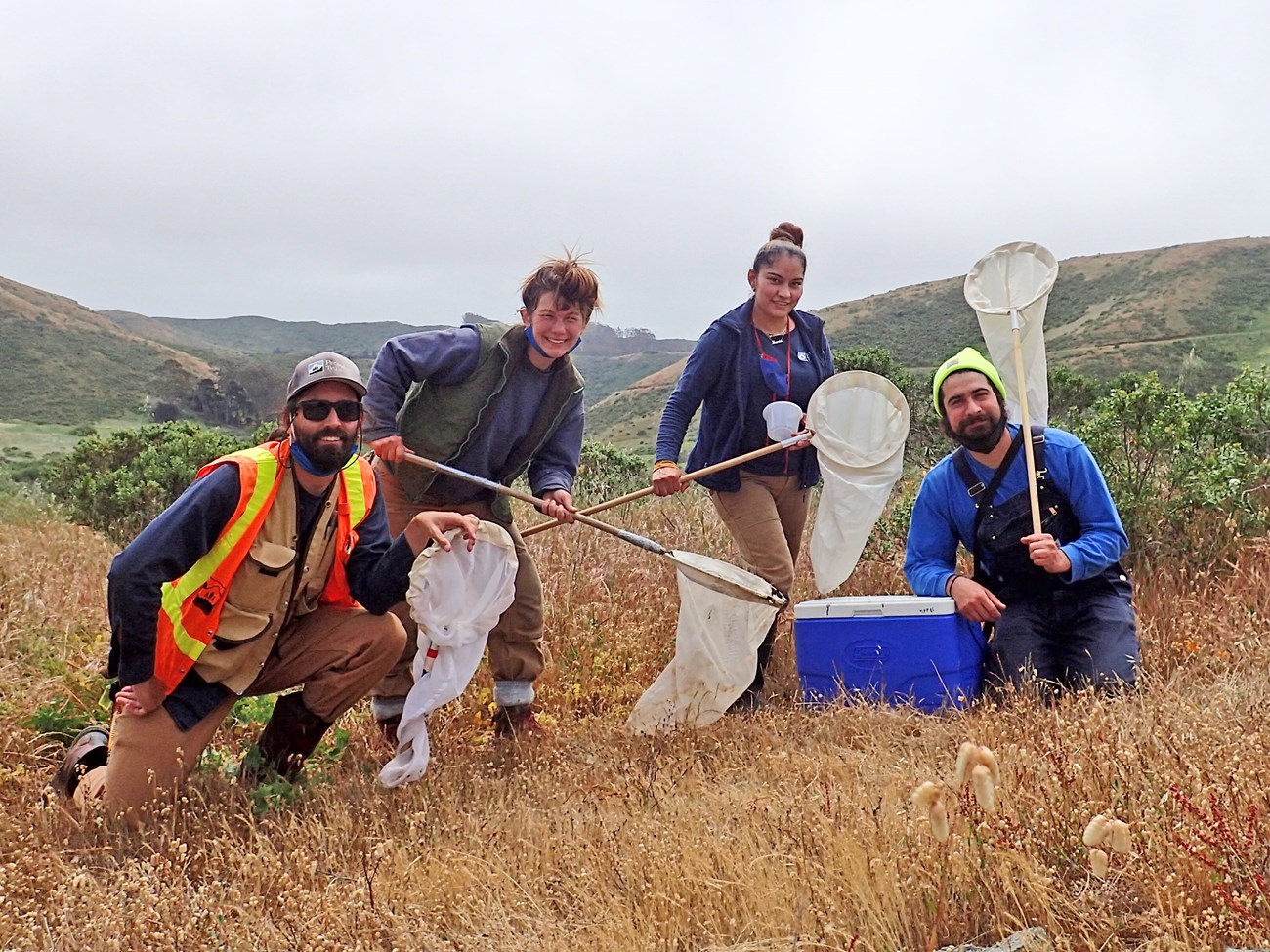 Four people on a grassy hilltop with butterfly nets and a cooler.