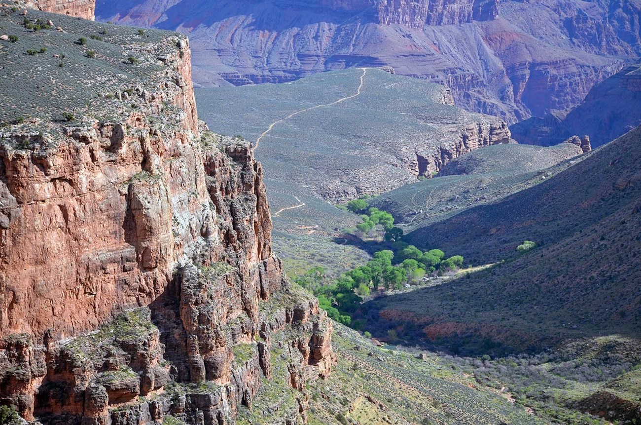 In a desert landscape, looking down from a sheer cliff onto a plateau bisected by a drainage filled with green cottonwood trees.