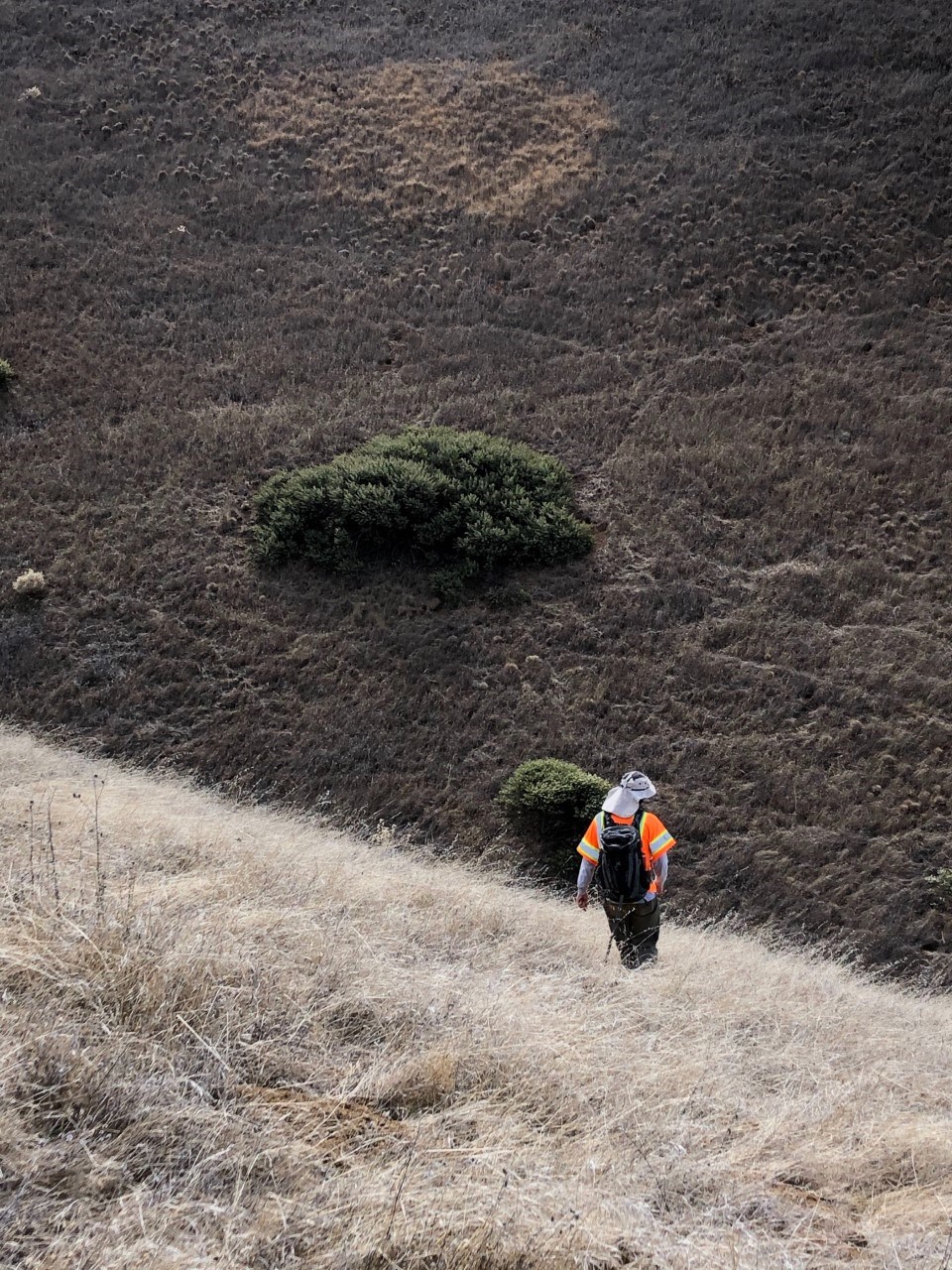 Person heading down a steep, grassy slope into a narrow gully.