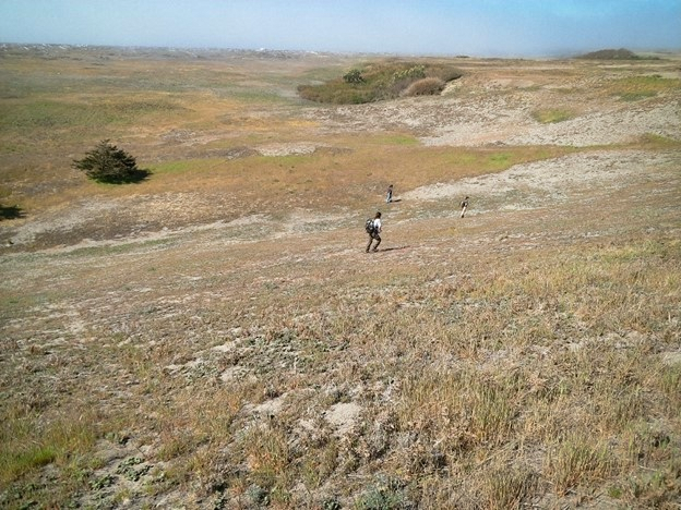 People walking in a field