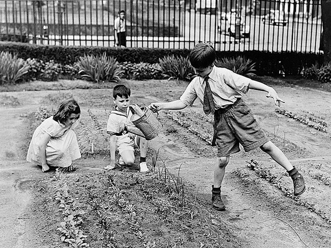 Two girls and a boy planting and watering a garden.