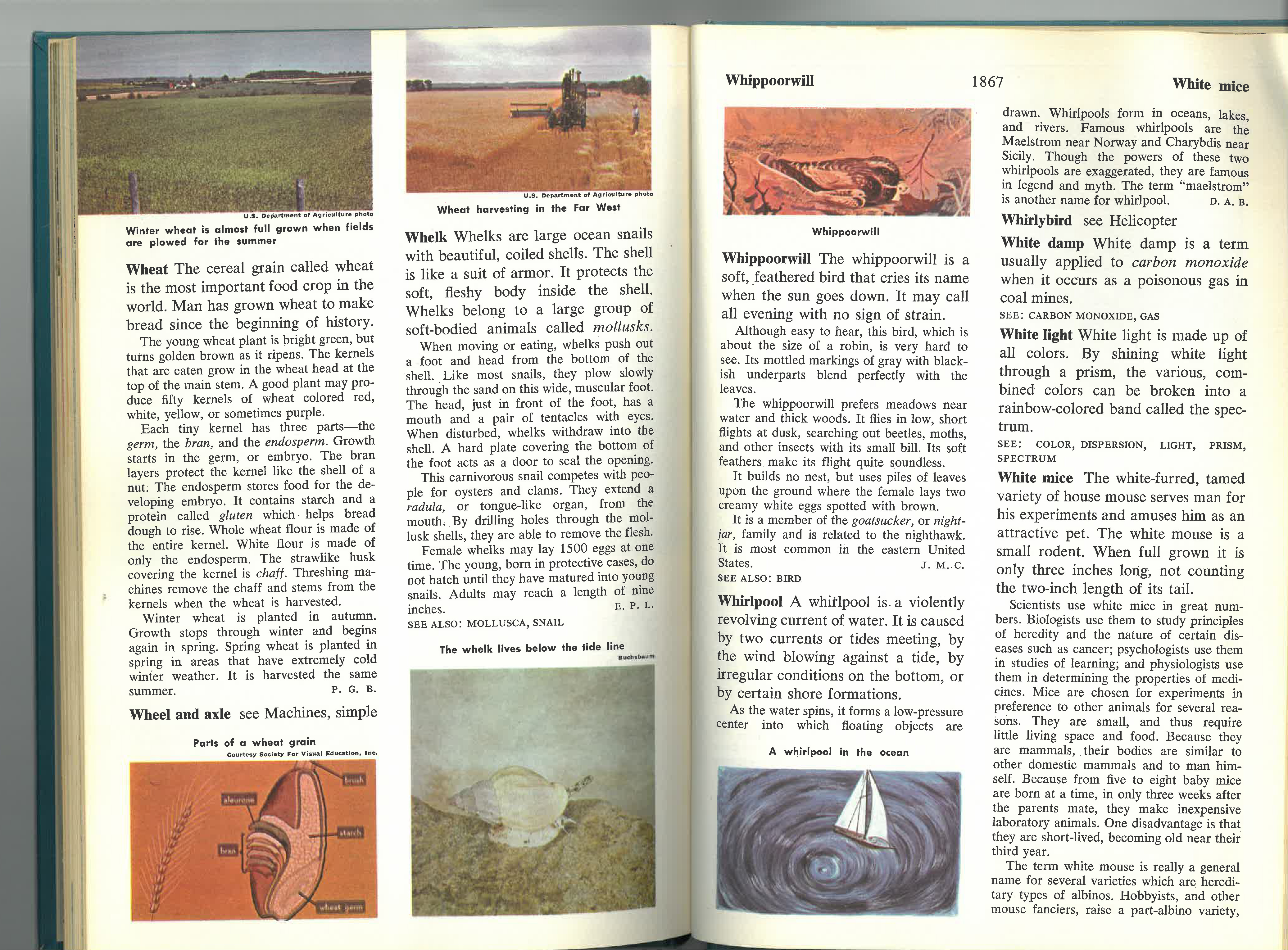 Whirlpool entry in the Young People's Encyclopedia