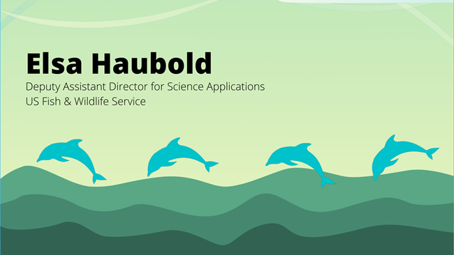 digital illustration of waves and four dolphins swimming across with the text Elsa Haubold, Deputy Assistant Director of Science Applications, US Fish & Wildlife Service