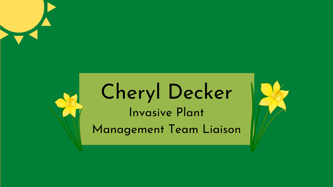 graphic illustration of a sun with two daffodils and the text Cheryl Decker Invasive Plant Management Team Liaison