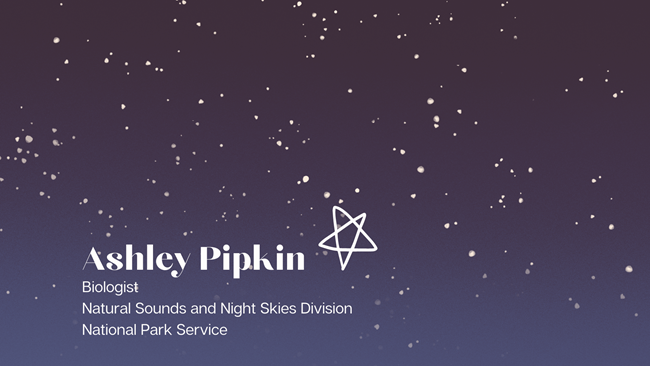 digital illustration of starry sky with text Ashley Pipkin, Biologist, Natural Sounds and Night Skies Division, National Park Service