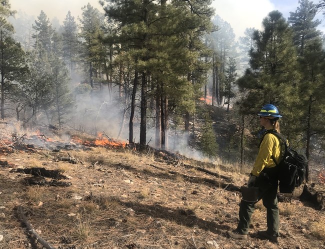 A firefighter in personal protective equipment stands on a slope near a surface fire.