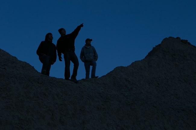 the silhouttes of three visitors, one pointing toward the sky, are outlined in black against the background of the night sky