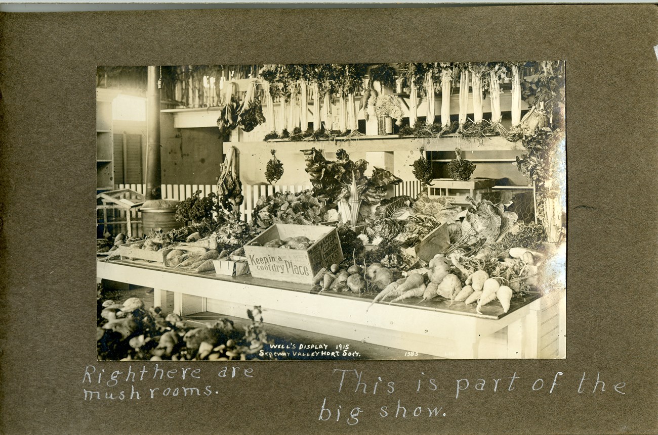 A variety of vegetables on display in Skagway.