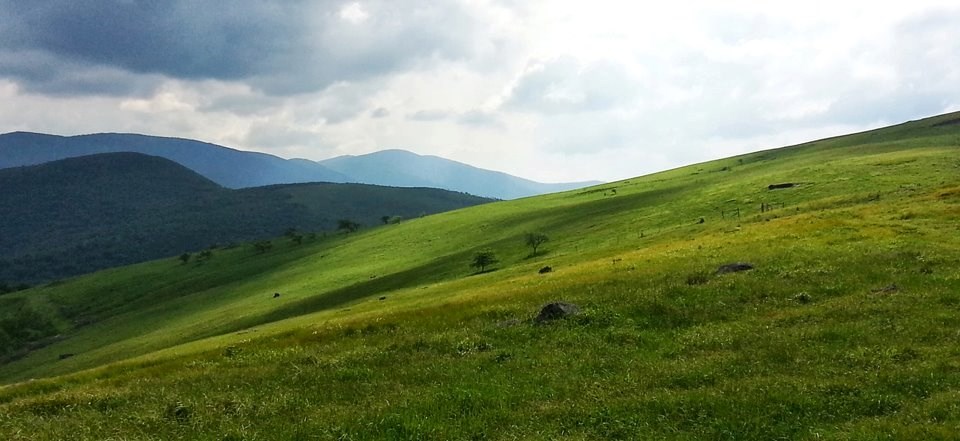 a bright green field with mountains in the background