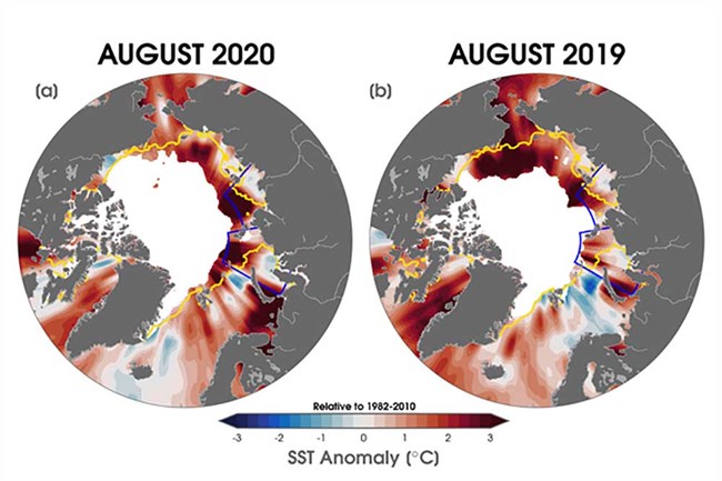 Heat map of pan-Arctic sea surface temperature anolmaly.