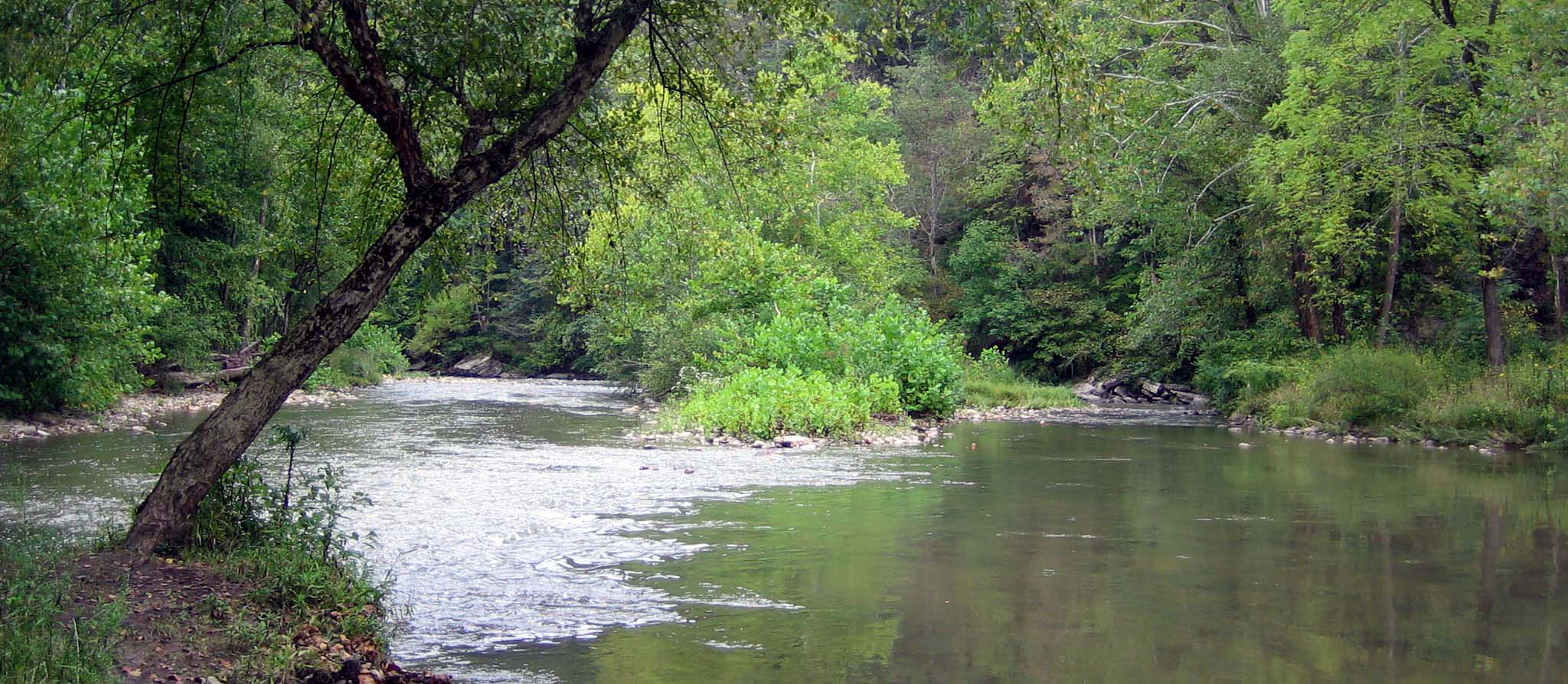A bend in the Bluestone River as it curves into the distance through some trees.