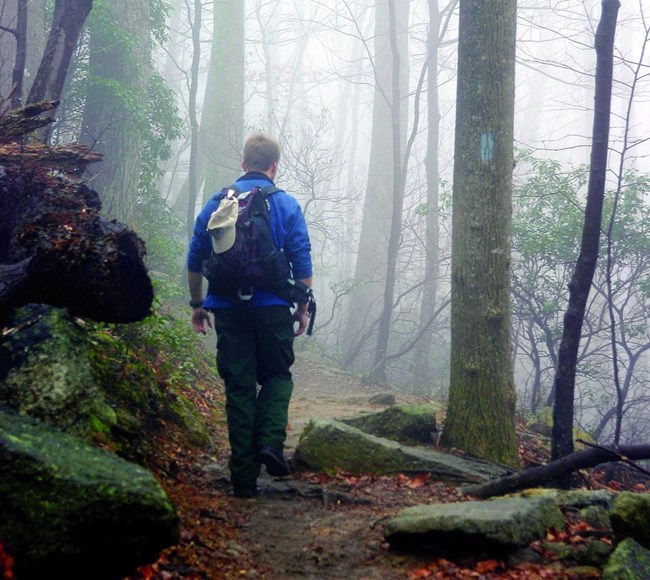 A person hiking in Shenandoah National Park on a foggy day. 