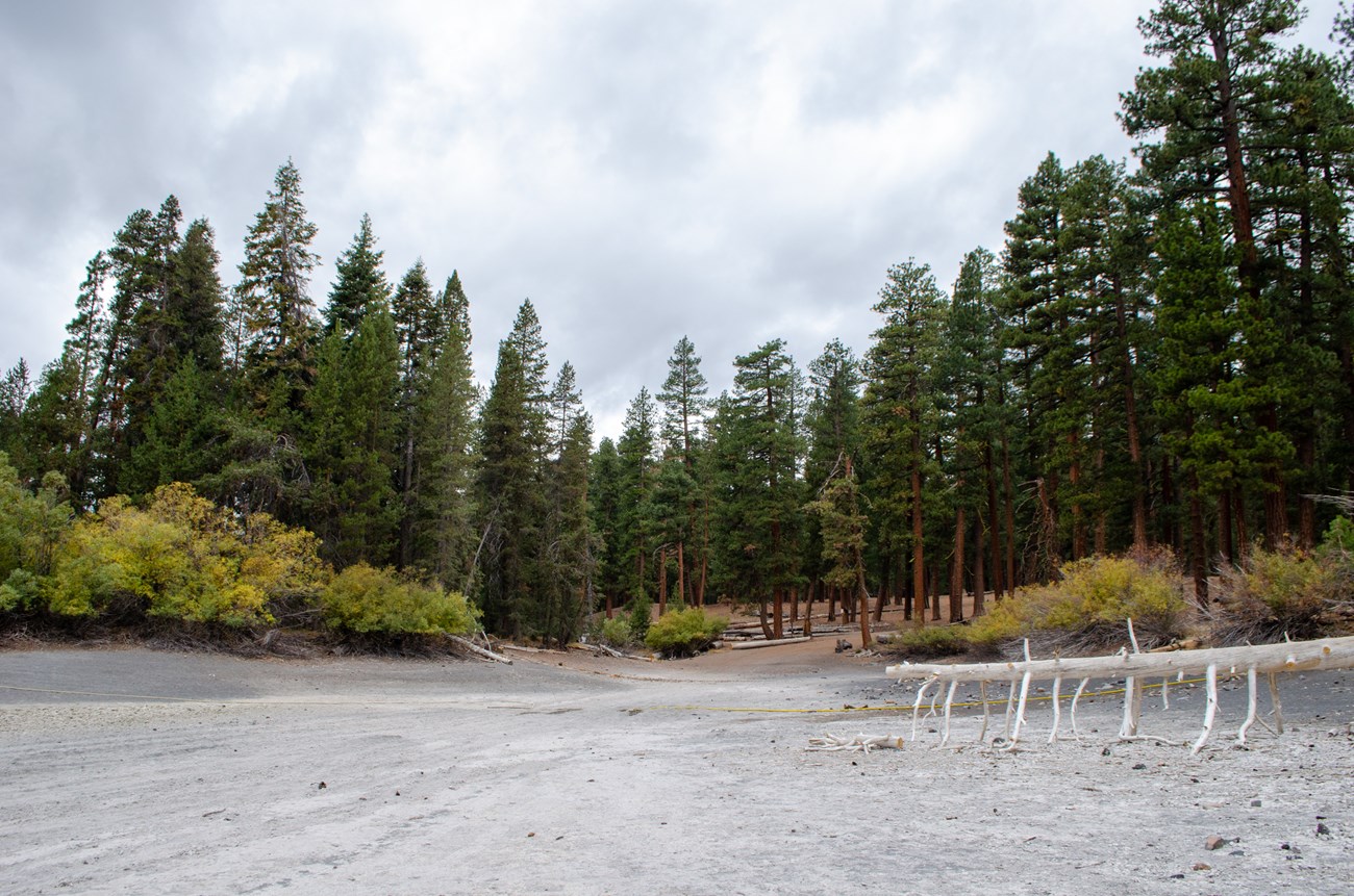 An image of a dry lake bed with tall conifer trees in the background.