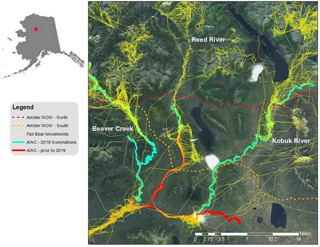 Map on creeks and bear movements.