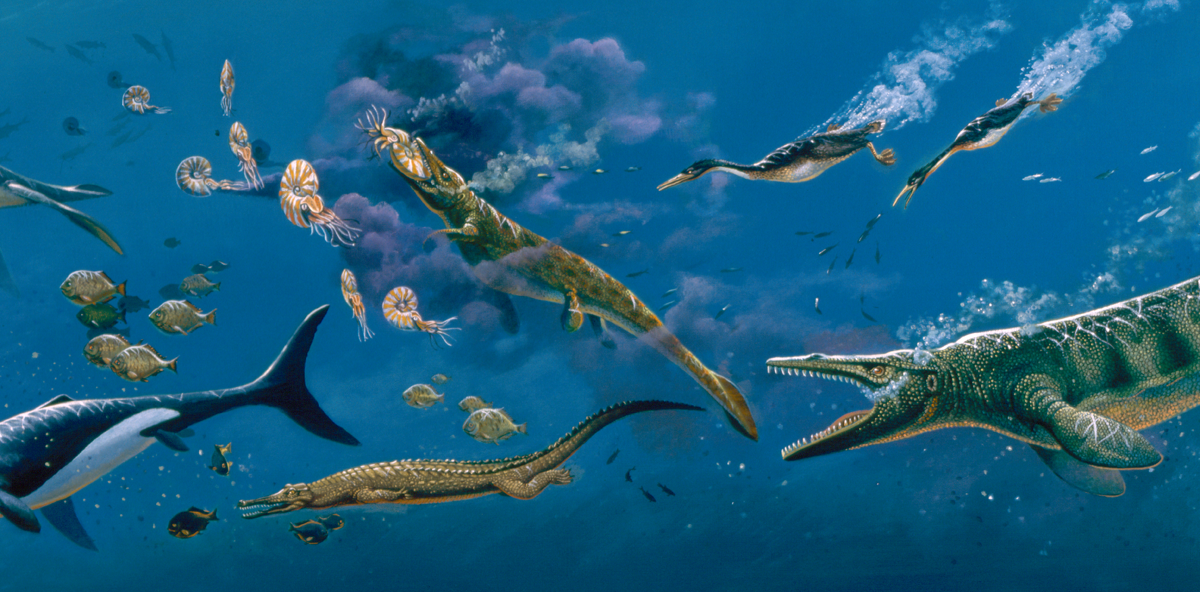 Cretaceous sea mural