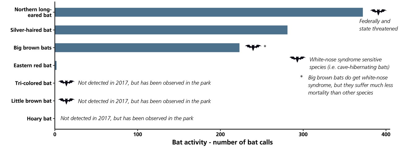 Bar chart showing bat species activity based on the number of recorded bat calls in the park.