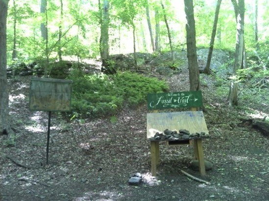 The Fossil Trail maintained by the Pocono Environmental Education Center
