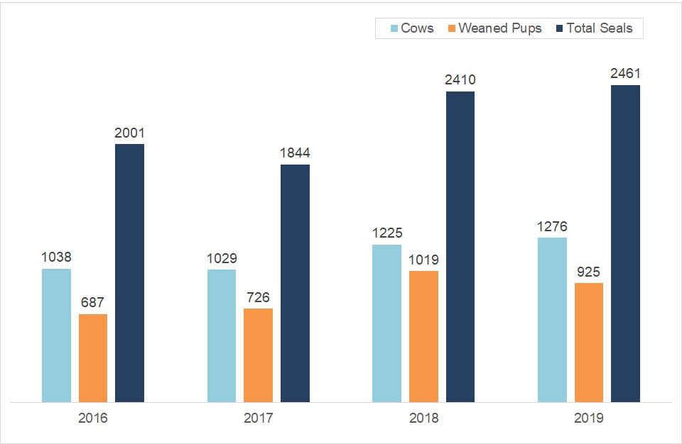 Peak numbers of total elephant seals, elephant seal cows, and weaned pups mostly rising over the last four years