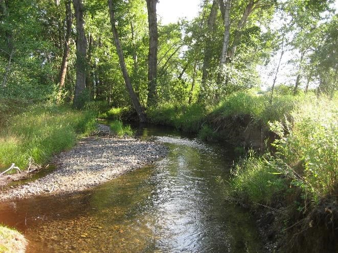 View of Bozeman Creek after restoration work. National Park Service photo.