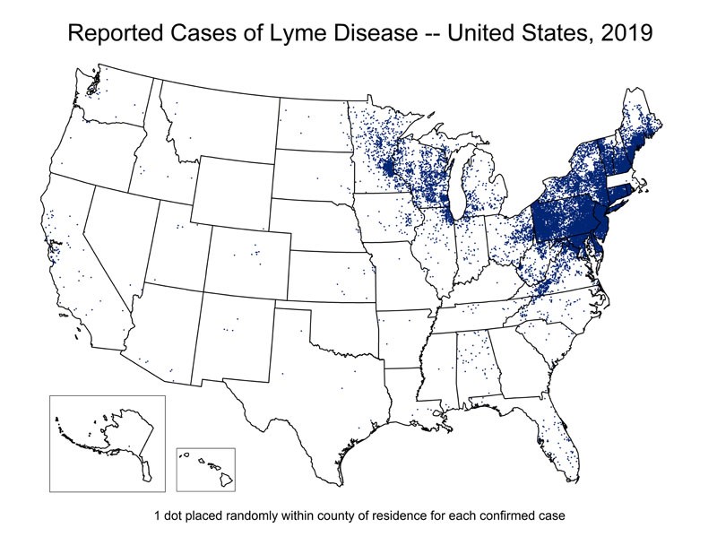 Species Spotlight - Deer Tick (U.S. National Park Service)