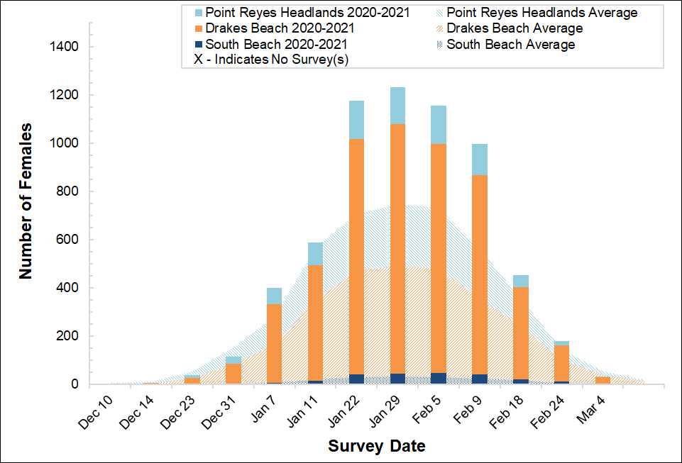 Stacked bar graph of female elephant seal counts at three colonies in Point Reyes in 2020-2021 by survey date, overlayed on a stacked area graph showing the average number of females surveyed at the colonies between 2005 and 2017.