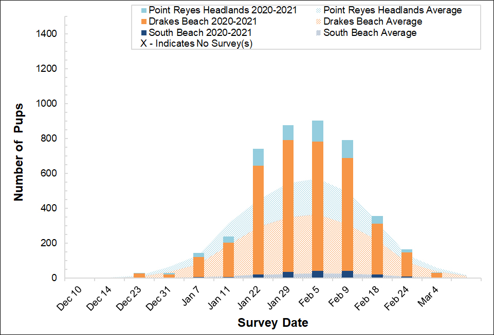 Stacked bar graph of the number of elephant seal pups counted at three colonies in Point Reyes in 2020-2021 by survey date, overlayed on a stacked area graph showing the average number of pups counted at the colonies between 2005 and 2017.