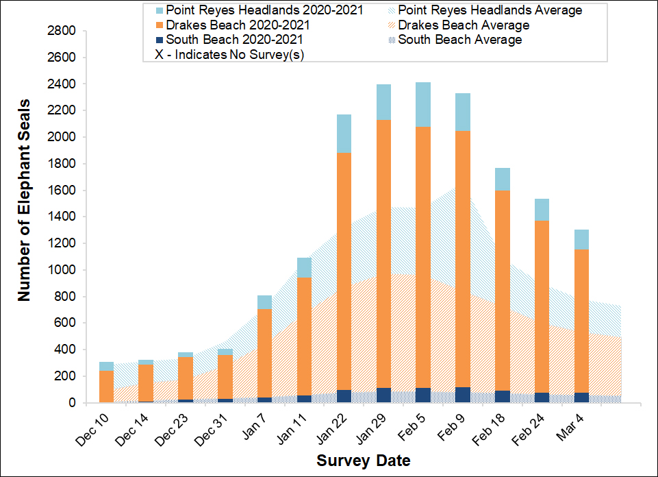 Stacked bar graph of the total number of elephant seals surveyed at three locations in Point Reyes National Seashore by survey date, overlayed on a stacked area graph showing the average number of seals surveyed at the same sites between 2005 and 2017.