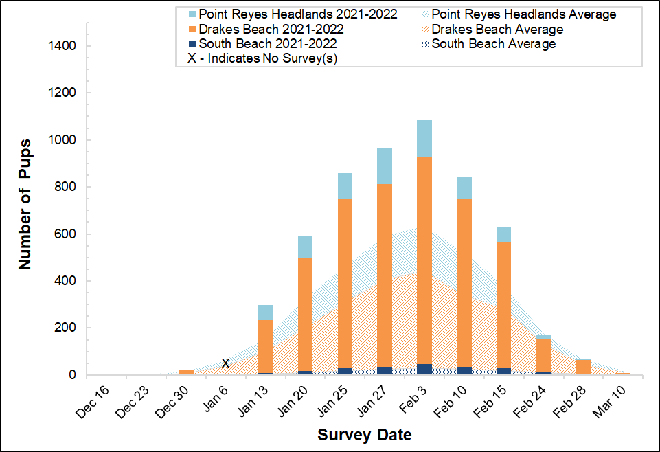 Stacked bar graph of the number of elephant seal pups counted at three colonies in Point Reyes in 2021-2022 by survey date, overlayed on a stacked area graph showing the average number of pups counted at the colonies between 2005 and 2017.