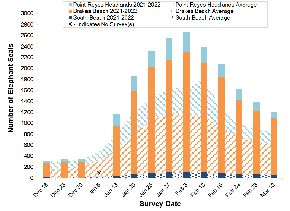 Stacked bar graph of the total number of elephant seals surveyed at three locations in Point Reyes National Seashore by survey date, overlayed on a stacked area graph showing the average number of seals surveyed at the same sites between 2005 and 2017.