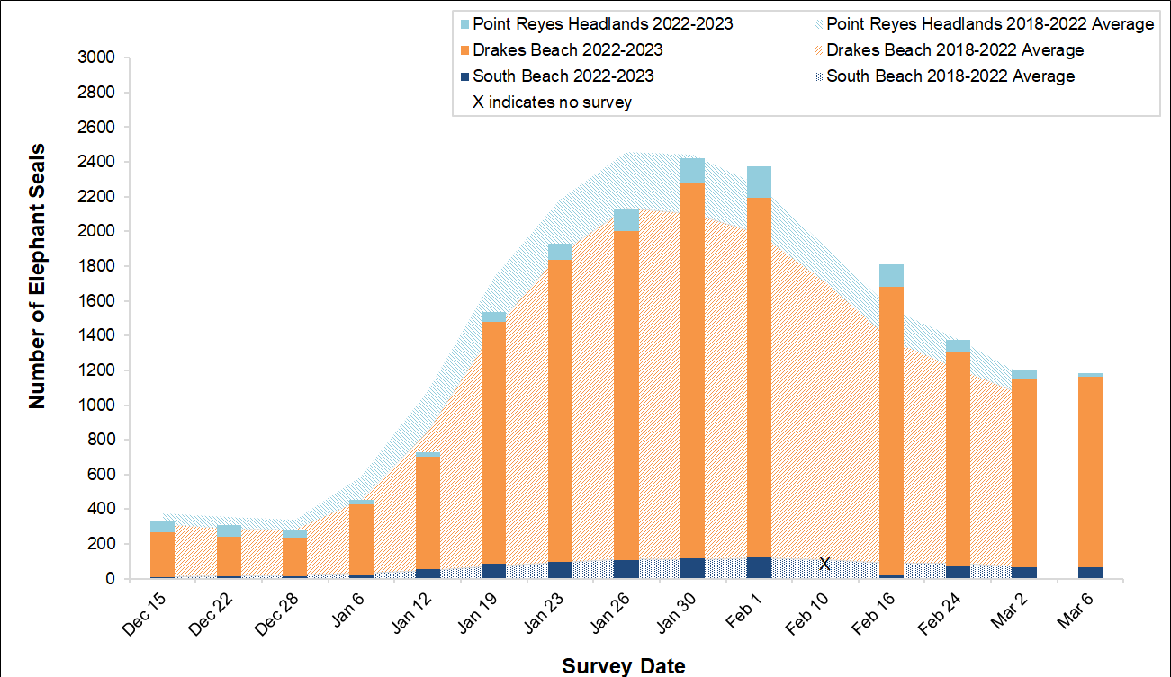 Stacked bar graph of the total number of elephant seals surveyed at three locations in Point Reyes National Seashore by survey date, overlayed on a stacked area graph showing the average number of seals surveyed at the same sites between 2018 and 2022.