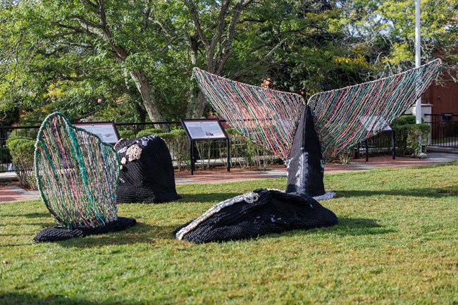 Sculpture of a whale made from fishing rope. The sculpture interprets the ground as the surface of water so only portions of the whale are visible.